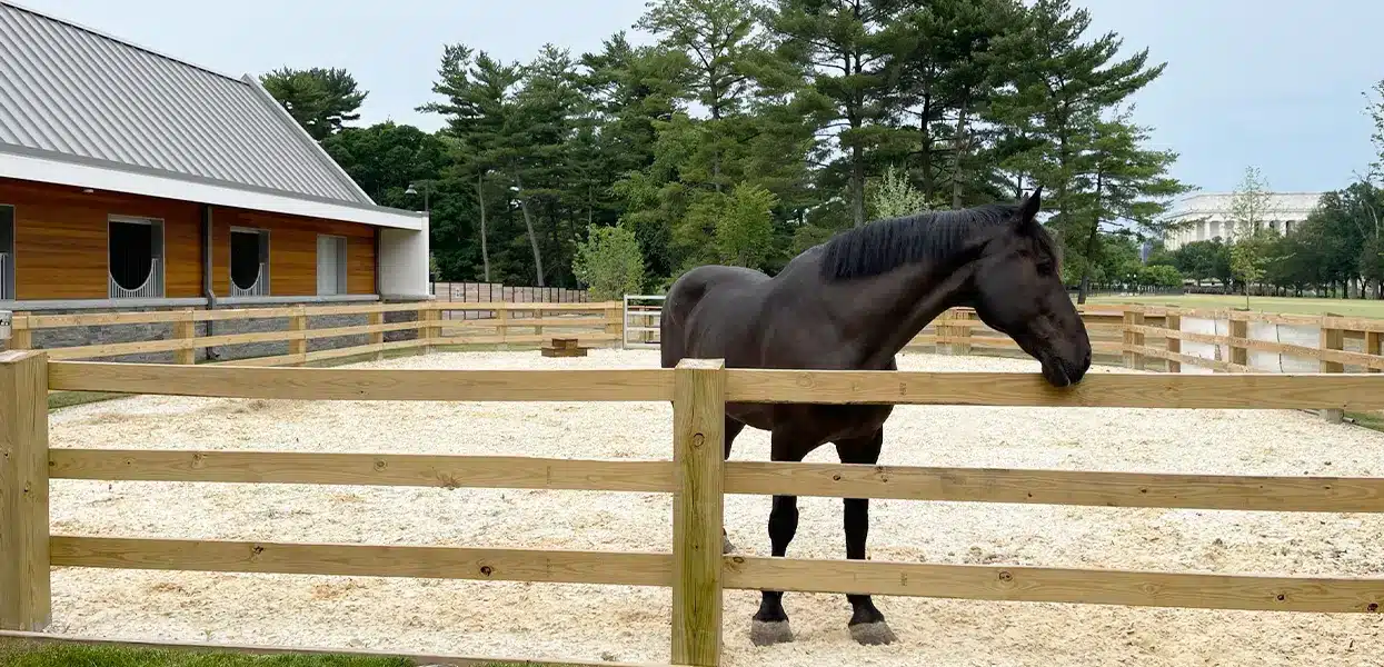 p-stables06 U.S. Park Police Horse Stables and Education Center on the National Mall – Trust for the National Mall