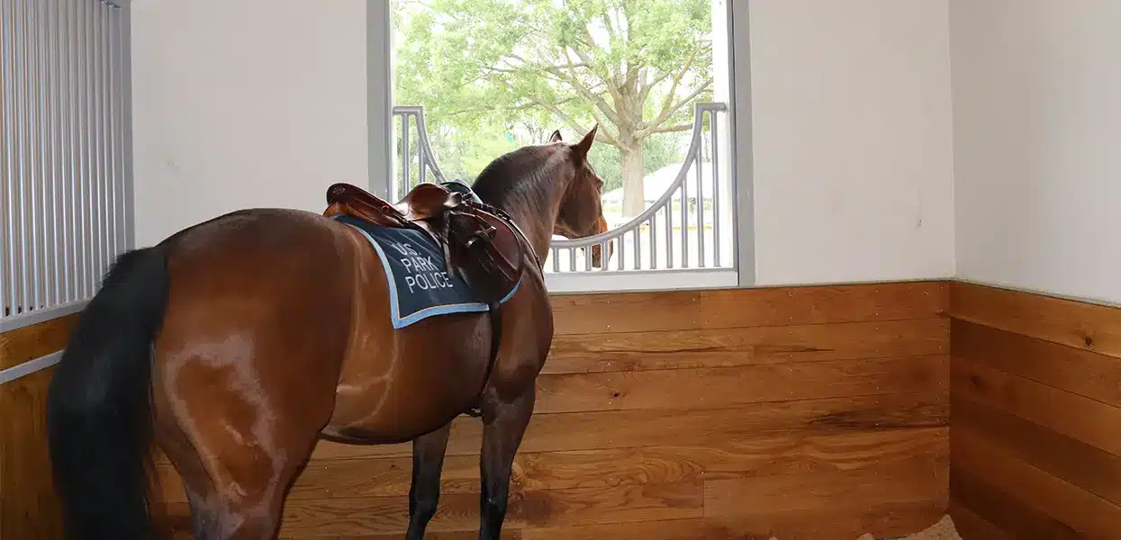p-stables11 U.S. Park Police Horse Stables and Education Center on the National Mall – Trust for the National Mall