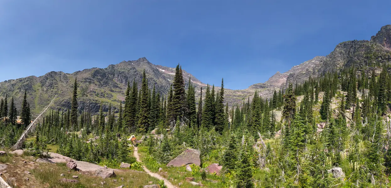 Sperry Chalet Restoration, Phase 2 Construction – National Park Service